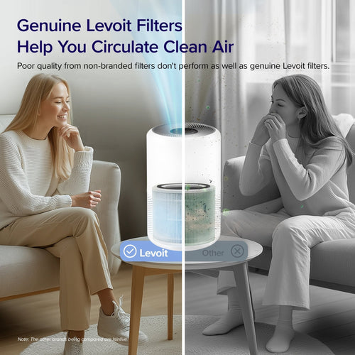 Core 300 Replacement Filter 2-Pack